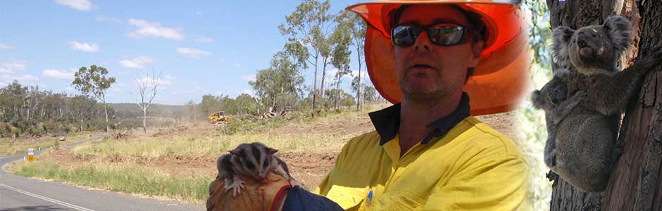 Fauna spotter catcher and Koala spotter catcher